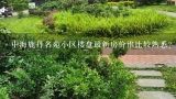 中海鹿丹名苑小区楼盘最新房价谁比较熟悉？广州粤海丽江花园最新房价是多少，为什么便宜？