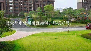 楚天都市佳园楼盘如何？环境好吗？