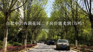 合肥中兴西湖花园2手房价能卖到1万吗?