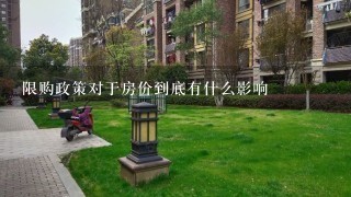 限购政策对于房价到底有什么影响