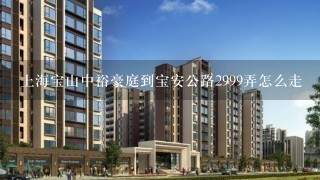 上海宝山中裕豪庭到宝安公路2999弄怎么走