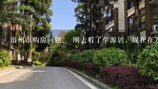 宿州市购房问题。 刚去看了学源居，现在在万达和学源居里选。到底哪个更好啊。 有理有据加分