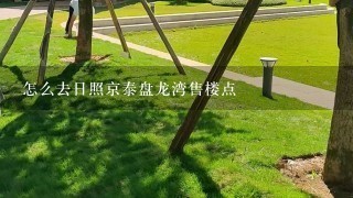 怎么去日照京泰盘龙湾售楼点