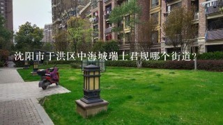 沈阳市于洪区中海城瑞士君规哪个街道？