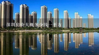 深圳房价大概多少钱1平方