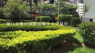 厦门市灌口镇附近哪个小学最好