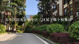 市中区阳光舜城中区3区属于哪个税务局