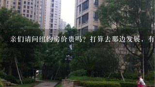 亲们请问纽约房价贵吗？打算去那边发展，有什么建议吗？