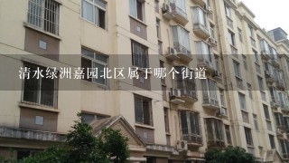 清水绿洲嘉园北区属于哪个街道