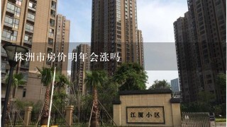 株洲市房价明年会涨吗