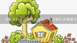 北京丰台区6里桥北里81电影制片西侧盛今大厦具体在什么位置