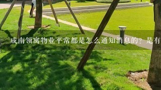 成南领寓物业平常都是怎么通知消息的？是有小区群吗？还是贴在哪里了？