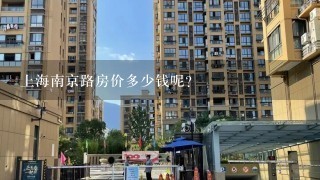 上海南京路房价多少钱呢？