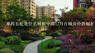 草药5蛇是什么树根中国12月百城房价跌幅扩大