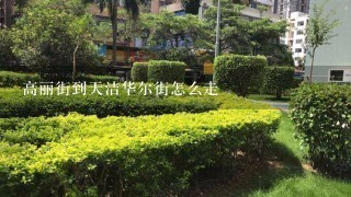 高丽街到天洁华尔街怎么走