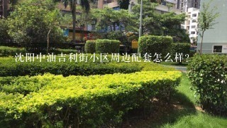 沈阳中油吉利街小区周边配套怎么样？