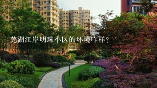 芜湖江岸明珠小区的环境咋样？