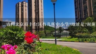 请问北京市丰台区有几所中小学?地址是?谢谢!