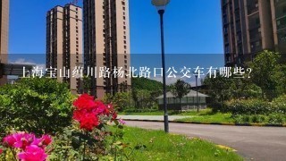 上海宝山蕴川路杨北路口公交车有哪些？