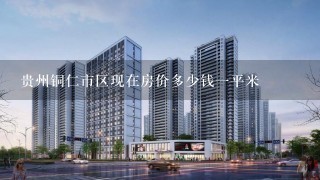 贵州铜仁市区现在房价多少钱1平米