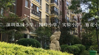 深圳荔园小学，园岭小学，实验小学，百花小学怎么样？