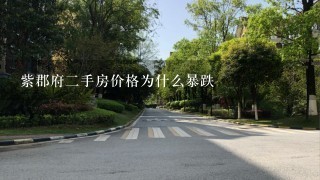 紫郡府2手房价格为什么暴跌