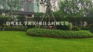 宿州龙汇学源居6栋什么时候交房