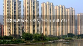 东莞德洲城小区楼盘房价详情谁了解？