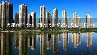 成都石羊场坐几路公交去双流9龙仓时代小镇