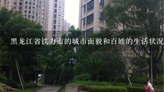 黑龙江省铁力市的城市面貌和百姓的生活状况（消费水