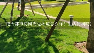 楚天都市花园周边环境怎么样？生活便利吗？