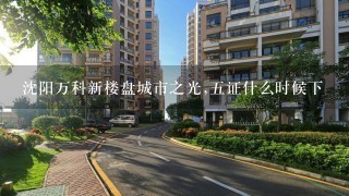 沈阳万科新楼盘城市之光,5证什么时候下