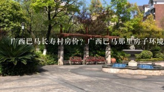 广西巴马长寿村房价？广西巴马那里房子环境好，住房价格实惠？