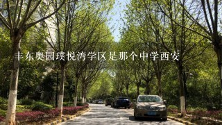 丰东奥园璞悦湾学区是那个中学西安