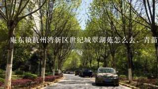 庵东镇杭州湾新区世纪城翠湖苑怎么去，青苗荟幼儿园的