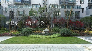 新肥东1中商品房价