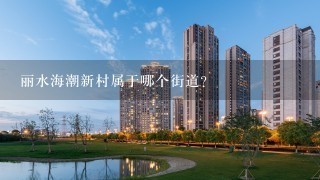 丽水海潮新村属于哪个街道？