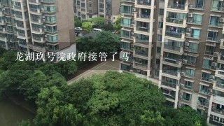 龙湖玖号院政府接管了吗