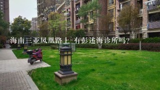 海南3亚凤凰路上 有彭述海诊所吗?