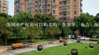 深圳小产权房可以购买吗？在龙华，布吉，坂田有哪些好的楼盘？？？