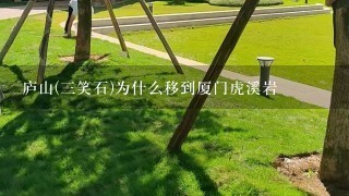 庐山(3笑石)为什么移到厦门虎溪岩