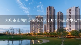 大庆市让胡路东湖小区属于哪个街道办事处?地址在哪儿？谢谢