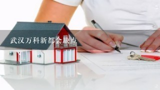 武汉万科新都会缺点