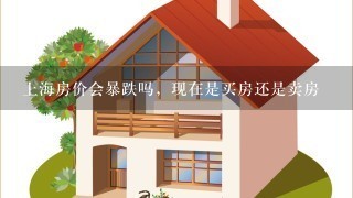 上海房价会暴跌吗，现在是买房还是卖房