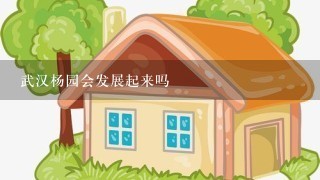 武汉杨园会发展起来吗