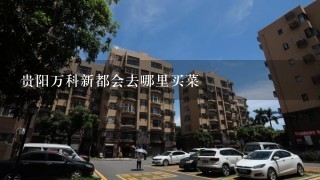 贵阳万科新都会去哪里买菜