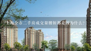 上海全市2手房成交量腰斩都是因为什么？