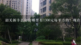 韶关新丰县房价哪里有1300元每平方的？现在都要25001平方了啊？