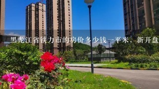 黑龙江省铁力市的房价多少钱1平米，新开盘的住宅怎么样，配套设施全面吗?