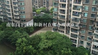 南京白下区致和新村在哪办理就业证